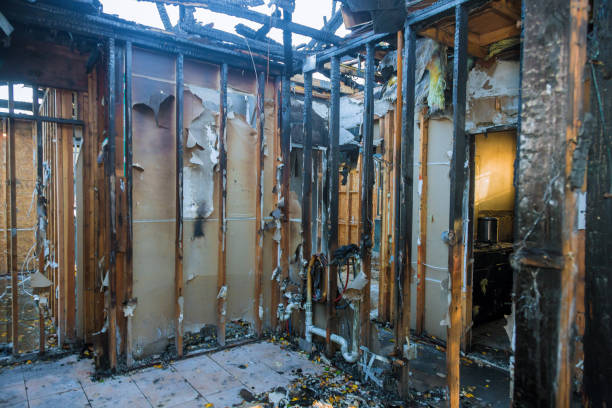 Professional Fire Damage Removal technician working in Epworth, IA